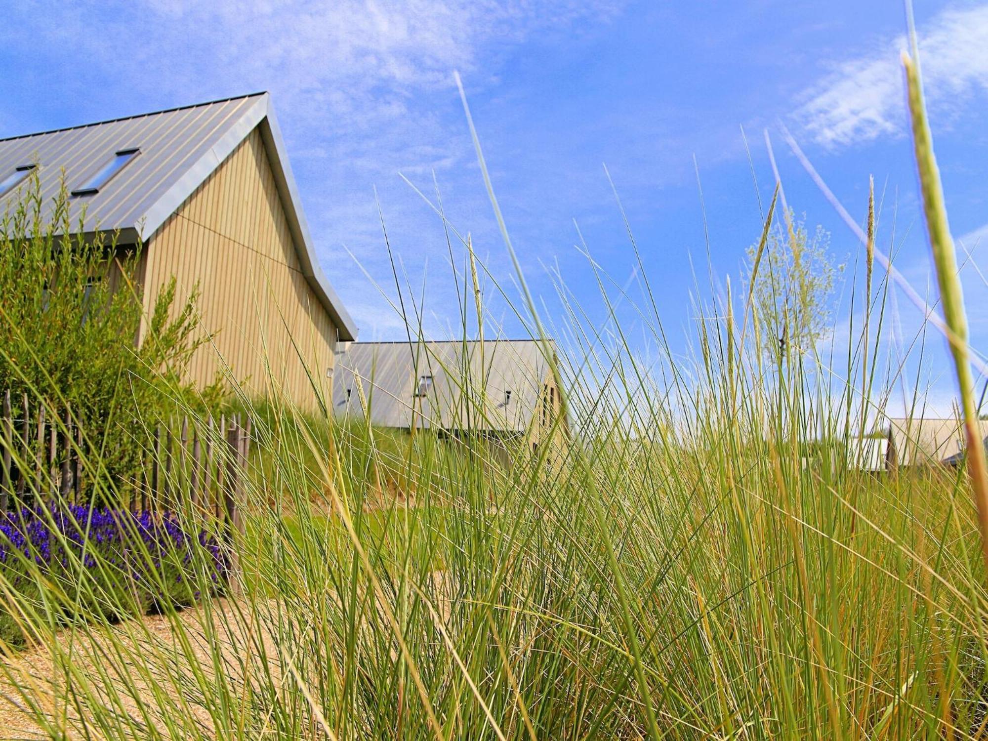 Modern Lodge On The Water In A National Park Tholen Zewnętrze zdjęcie